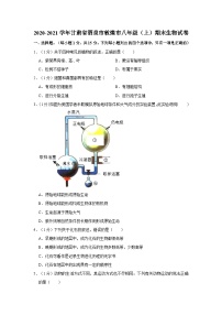 甘肃省酒泉市敦煌市2020-2021学年八年级上学期期末生物试卷