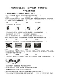 吉林省四平市伊通满族自治县2023-2024学年八年级上学期期末考试生物试卷(无答案)