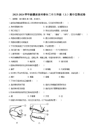 2023-2024学年新疆昌吉州奇台二中八年级（上）期中生物试卷（含解析）