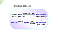 济南版八年级下册第二节 生物进化的证据图文课件ppt