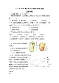 山东省菏泽市曹县曹县博宇中学2023-2024学年九年级上学期12月月考生物试题