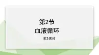 北师大版七年级下册第2节 血液循环教学演示ppt课件