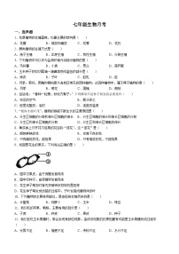 河南省南阳市内乡县灌涨镇初级中学2023-2024学年七年级上学期12月月考生物试题(无答案)