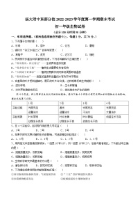 江苏省扬州大学附属中学东部分校2023-2024学年七年级上学期期末生物试题(无答案)