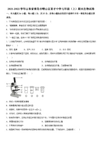 山东省青岛市崂山区育才中学2021-2022学年七年级上册期末生物试卷（含解析）