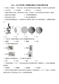 辽宁省丹东市凤城市2023-2024学年七年级上册期末考试生物试题（含解析）