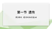 生物冀少版第六单元 生物的繁衍和发展第二章 生物的遗传和变异第一节 遗传课堂教学课件ppt