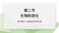 冀少版八年级下册第二节 生物的进化教案配套ppt课件