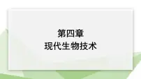 生物冀少版第四章 现代生物技术图片ppt课件