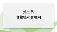 初中生物冀少版八年级下册第二节 食物链和食物网课文课件ppt