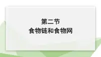 初中生物冀少版八年级下册第二节 食物链和食物网课文课件ppt