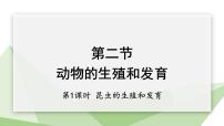 初中生物冀少版八年级下册第二节 动物的生殖和发育示范课课件ppt