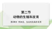 冀少版八年级下册第二节 动物的生殖和发育课文配套课件ppt