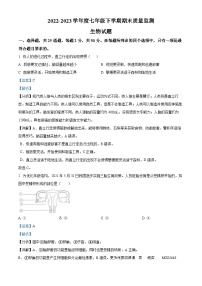 精品解析：山东省临沂市郯城县2022-2023学年七年级下学期期末生物试题（解析版）