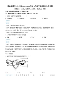 福建省福州市台江区2022-2023学年七年级下学期期末生物试题（解析版）