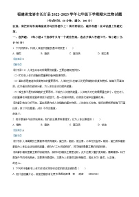 福建省龙岩市长汀县2022-2023学年七年级下学期期末生物试题（解析版）