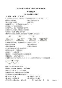 河南省驻马店市泌阳县2022-2023学年七年级上学期期中生物试题