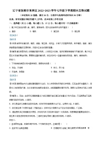 辽宁省抚顺市东洲区2022-2023学年七年级下学期期末生物试题（解析版）