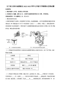 辽宁省大连市金普新区2022-2023学年七年级下学期期末生物试题（解析版）