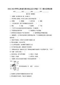 山东省日照市岚山区2022-2023学年七年级下学期期末生物试卷