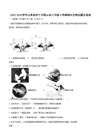 2022-2023学年山东省济宁市梁山县八年级上学期期末生物试题及答案