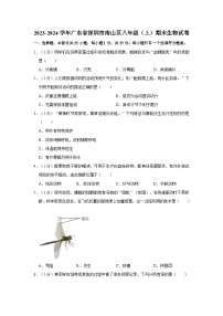 广东省深圳市南山区2023-2024学年八年级上学期期末生物试卷