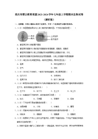 重庆市缙云教育联盟2023-2024学年七年级上学期期末生物试卷