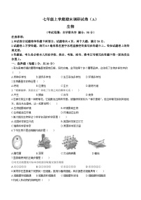 河南省安阳市林州市开元学校2023-2024学年七年级上学期期末生物试题