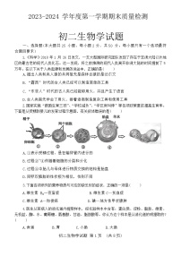 山东省济宁市任城区2023-2024学年七年级上学期期末生物试题