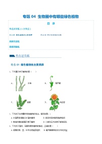 专题04 生物圈中有哪些绿色植物（练习）-2024年中考生物一轮复习讲练测（全国通用）