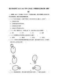 重庆市南岸区2023-2024学年七年级上学期期末生物试卷+