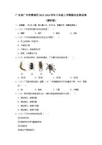 广东省广州市黄埔区2023-2024学年八年级上学期期末生物试卷+