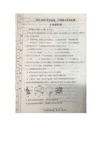 天津市河东区2023-2024学年七年级上学期期末质量检测生物试题