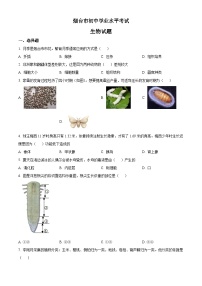 2023年山东省烟台市中考生物真题