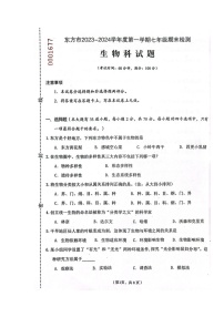 海南省东方市2023-2024学年七年级上学期期末检测生物试题