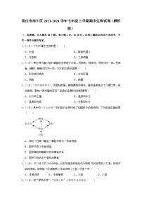 重庆市南川区2023-2024学年七年级上学期期末生物试卷