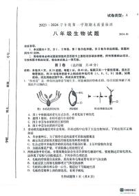 山东省潍坊市潍城区2023-2024学年八年级上学期期末生物试题