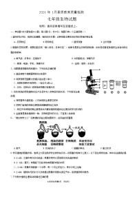 山东省菏泽市曹县2023-2024学年七年级上学期期末生物试题