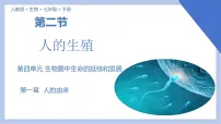 人教版 (新课标)七年级下册第二节 人的生殖精品教学课件ppt