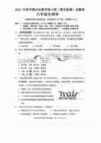 广西梧州市苍梧县2023-2024学年八年级上学期期末生物试题