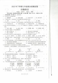 湖南省长沙市雅礼教育集团2023-2024学年七年级上学期期末生物试题