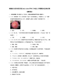 安徽省合肥市肥西县2023-2024学年八年级上学期期末生物试卷+