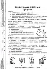 湖南省邵阳市邵东市2023-2024学年七年级上学期期末生物学试题