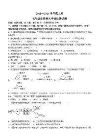 河南省驻马店市第二十二中学2023-2024学年七年级上学期期末学情检测生物试题