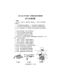 山东省菏泽市郓城县2023-2024学年九年级上学期期末教学质量检测+生物试题