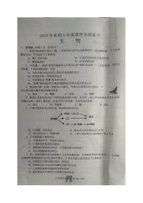 河南省南阳市南召县2023-2024学年八年级上学期期末生物试题