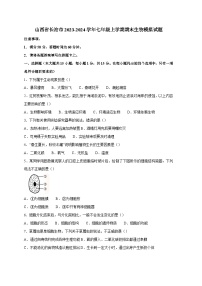 山西省长治市2023-2024学年七年级上册期末生物模拟试题（附答案）