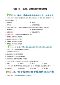 【备战2024中考】一轮复习 初中生物 真题分项汇编 专题10 植物、动物和微生物类群（原卷+解析）.zip