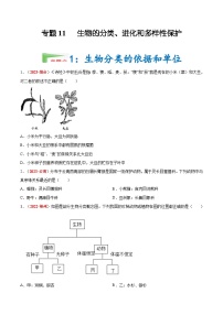 【备战2024中考】一轮复习 初中生物 真题分项汇编 专题11 生物的分类、进化和多样性保护（原卷+解析）.zip