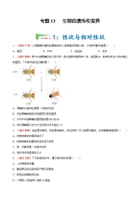 【备战2024中考】一轮复习 初中生物 真题分项汇编 专题13 生物的遗传和变异（原卷+解析）.zip